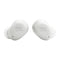 JBL Vibe Buds True Wireless Earbuds