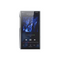 FiiO M23 / M23 SS Portable High-Resolution Music Player