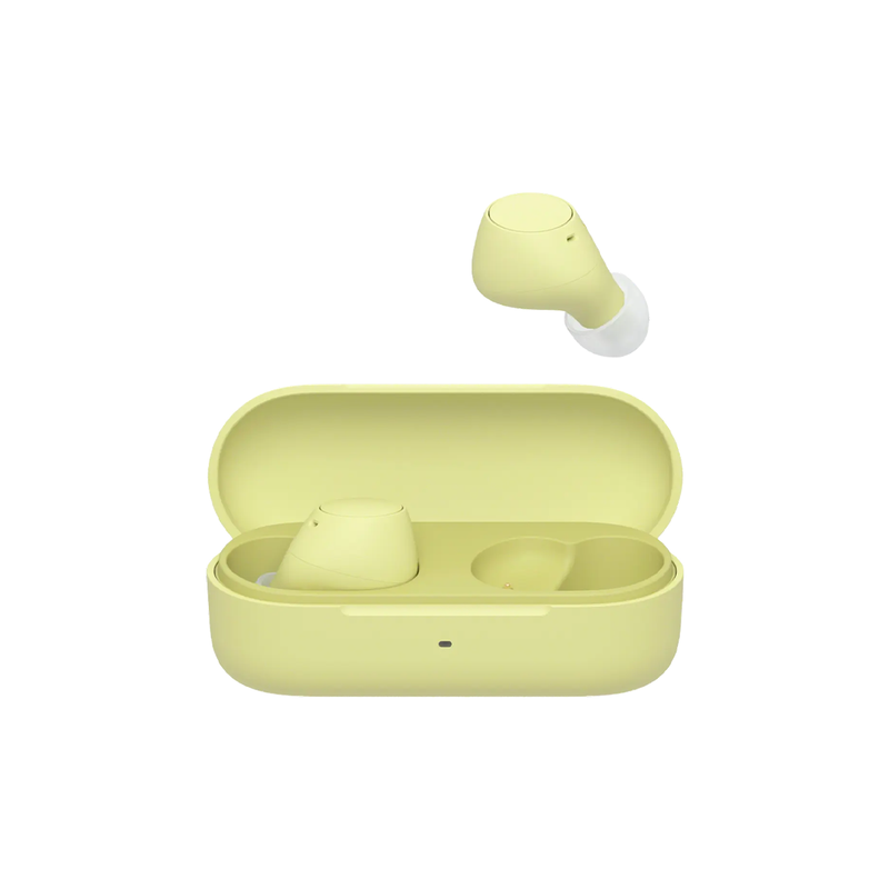 Sony WF-C510 True Wireless Earbuds